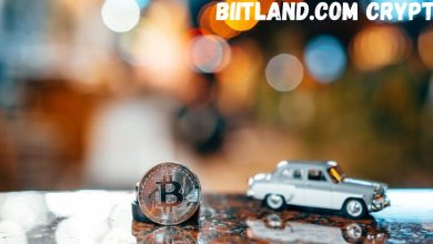 Biitland.com Crypto